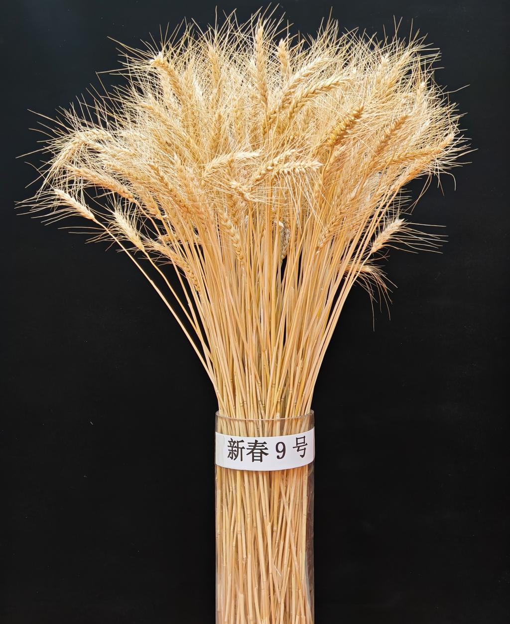 2F627