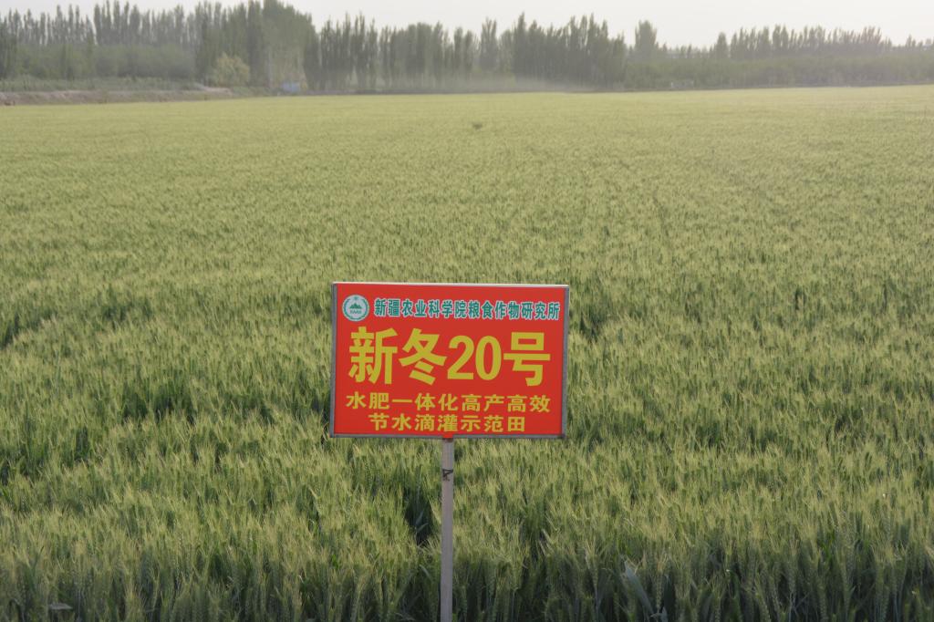 1CF70